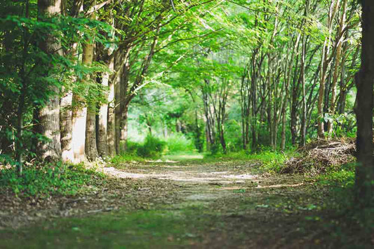What Can the Apparel Industry Do for the Environmental Crisis?