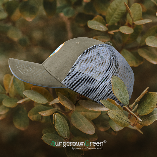 Sustainable Mesh Baseball Cap: The Eco-Friendly Way to Keep Yourself Cool