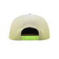Custom Strapback Hat